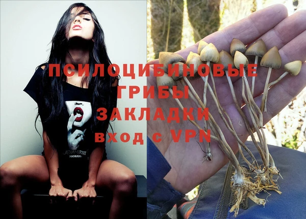 мет Кодинск