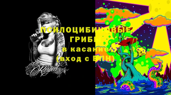 ECSTASY Козловка